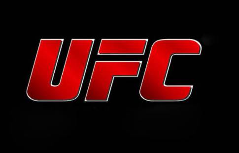 Главный бой UFC 215 отменён из-за болезни Борга