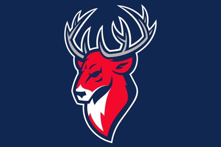 Www sport ru хоккей