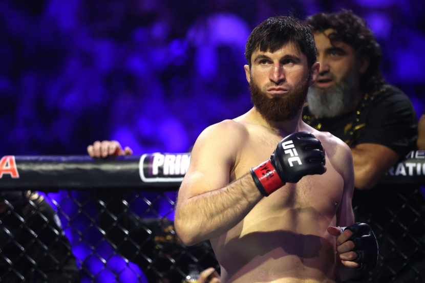 ������� �������� 