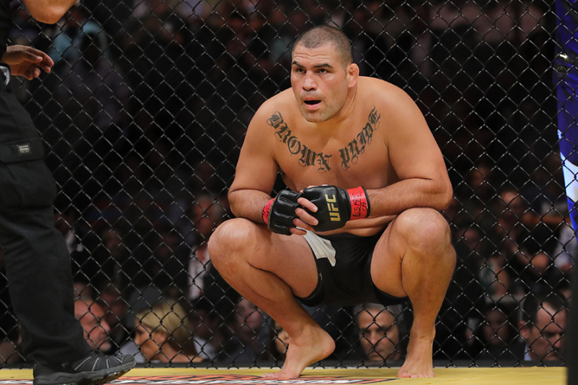 ���� �������� 