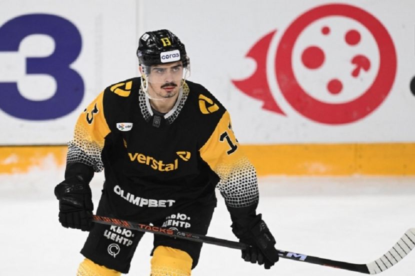 ������ ���������