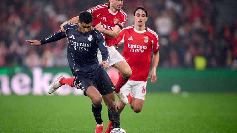 "����" - "�������"