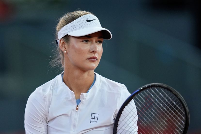 ���� ���������