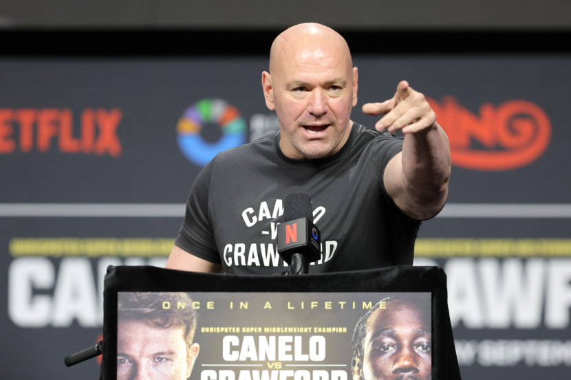 ���� ���� 