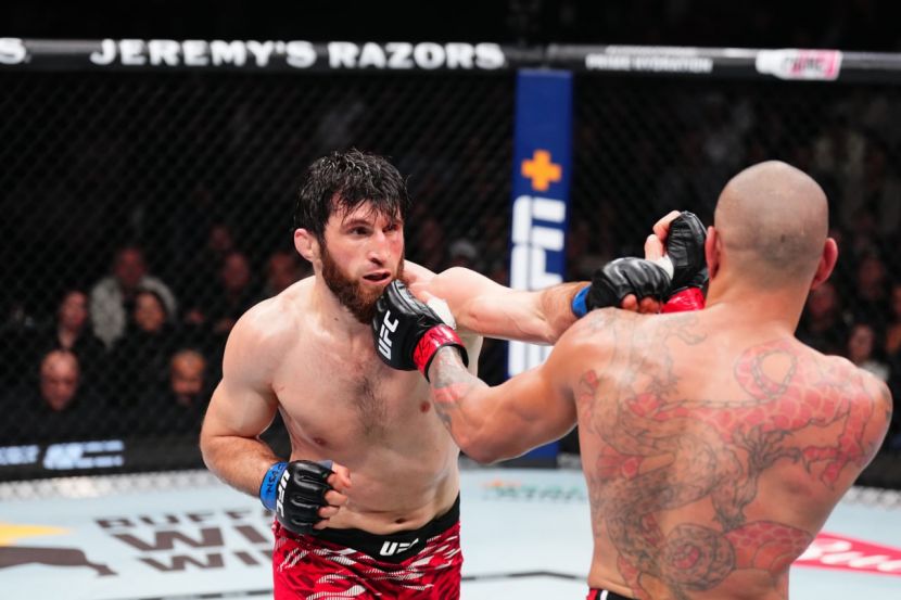 ������� ��������