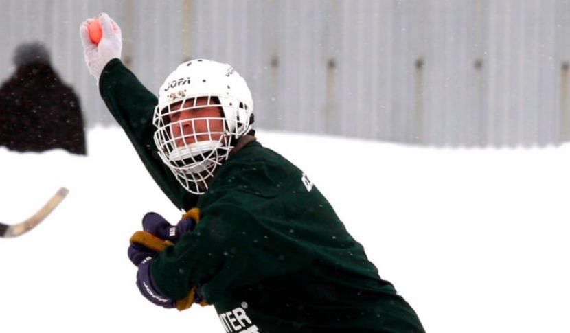 ���� ����������