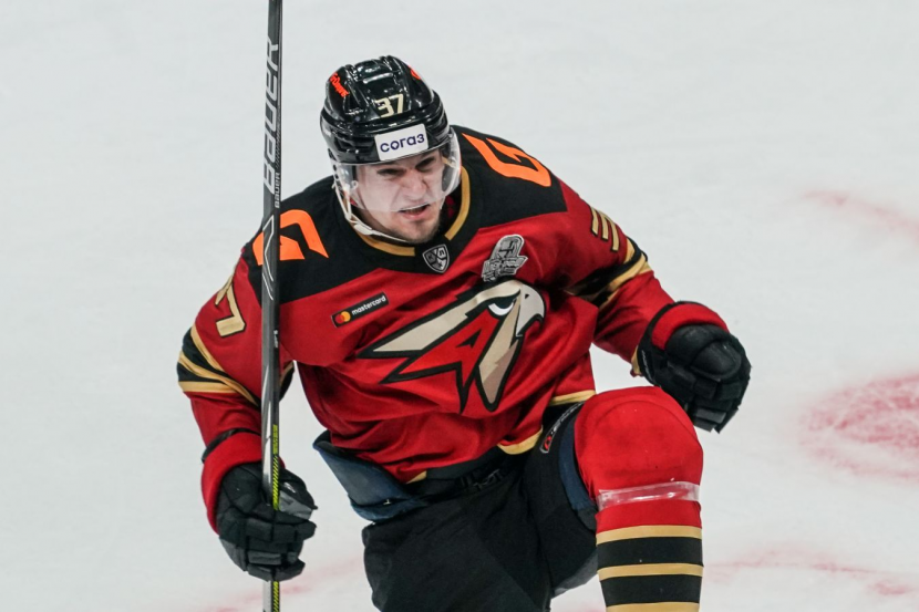 ���� ������