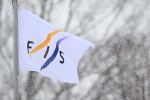 FIS