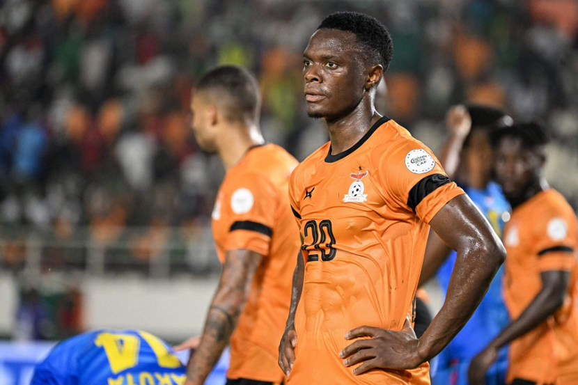 ������ ����