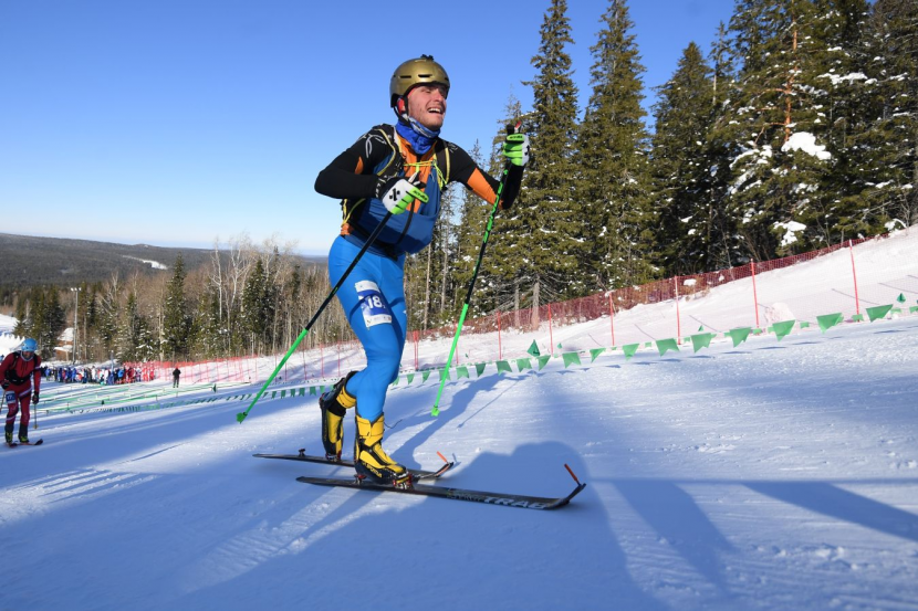 ������ �������� 