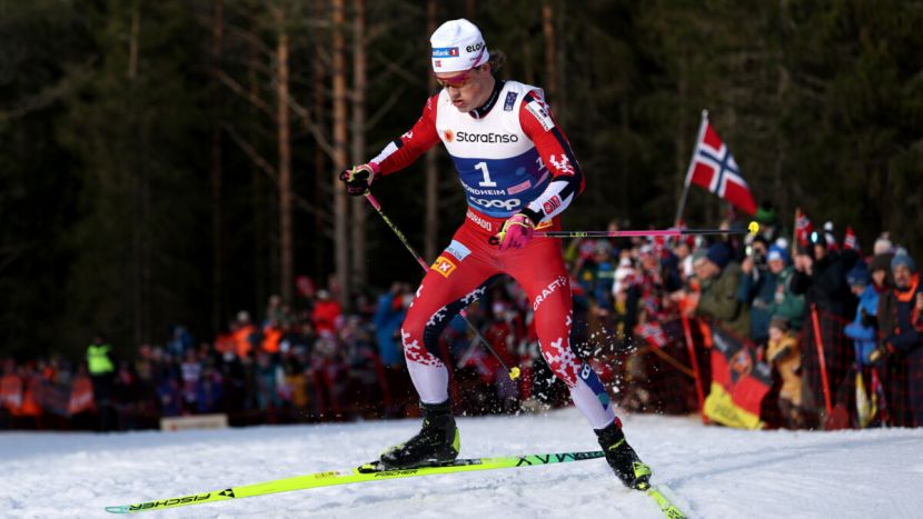 �������� �����