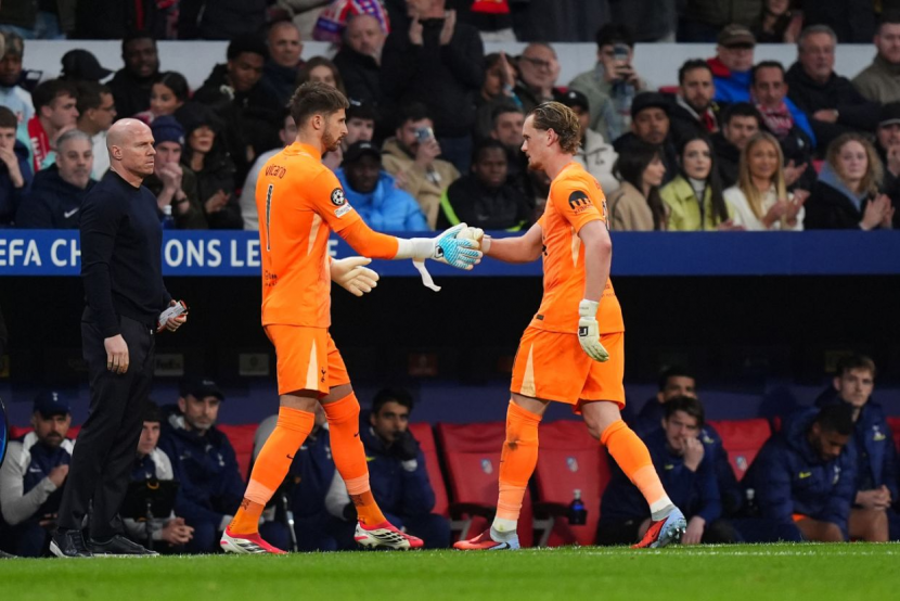 Викарио и Кински