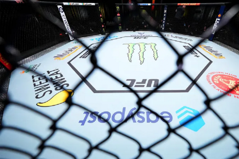 Октагон UFC