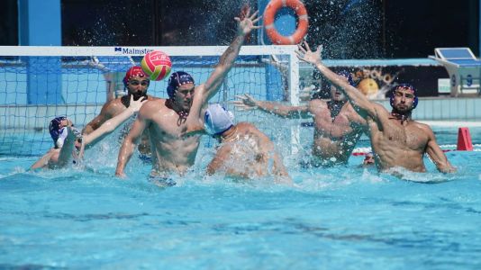 ������ ����