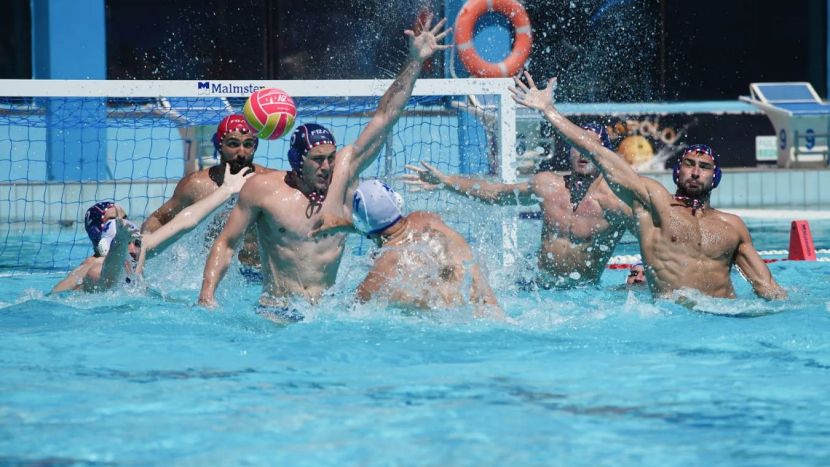 ������ ����