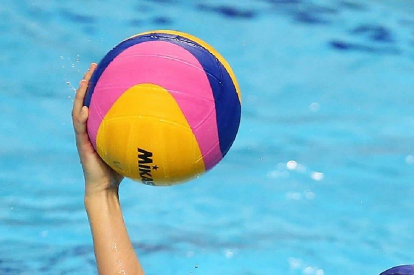 ������ ����